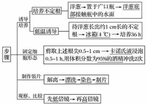 美华学校实验