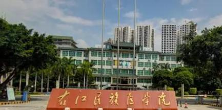 右江民族医学院是不是985大学?