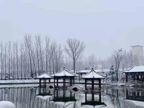 北京橘郡国际学校DSE