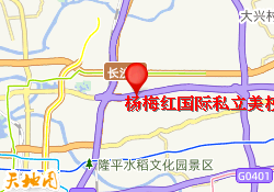 杨梅红国际私立美校