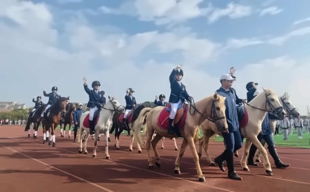 馬術方陣.jpg