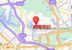 西丽校区