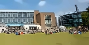 斯旺西大学