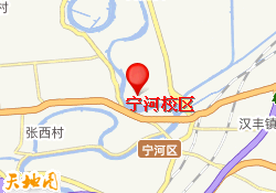 宁河校区