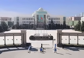 1+1本升硕培养项目