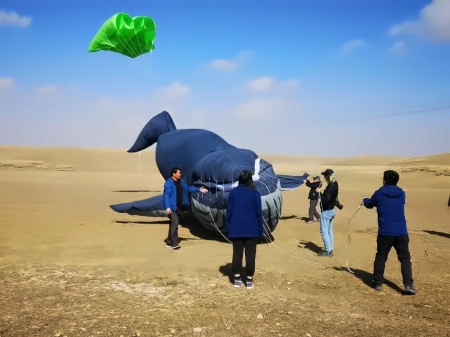 放风筝.jpg