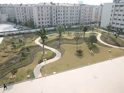 常州市前黄高级中学国际分校校园内的花园