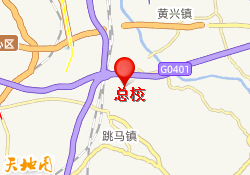 总校