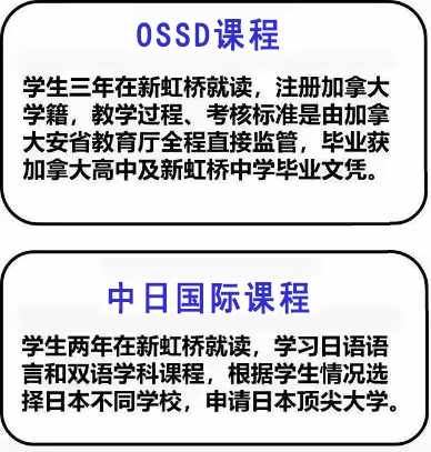 新虹桥中学国际部课程体系.jpg