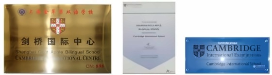 英国剑桥国际高中课程**.jpg