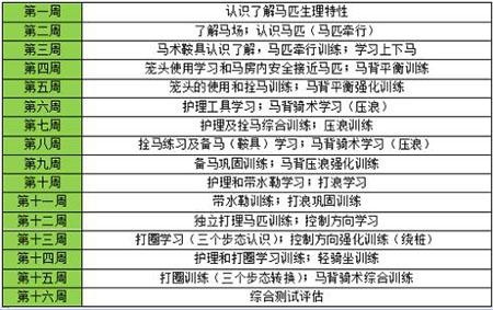 句容碧桂园学校马术课程.jpg
