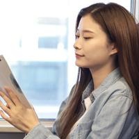 各国家注册审核员