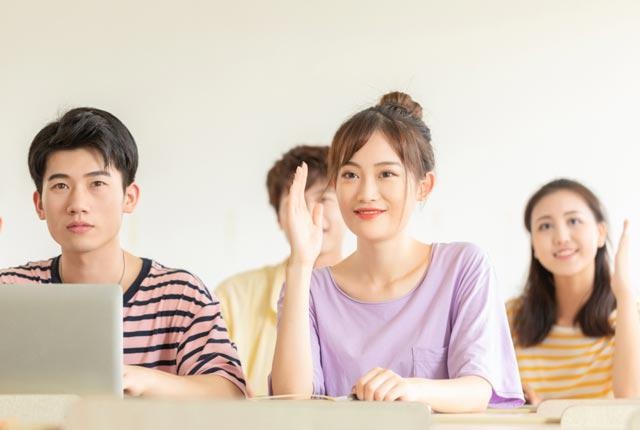 财会新人