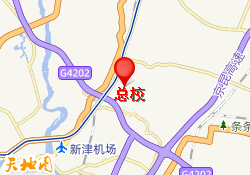 总校
