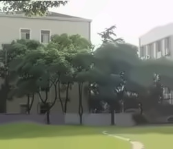 交大风景