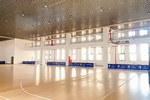 BANZ行中中学室内体育馆