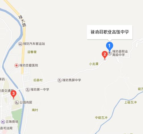 禄劝职业高级中学