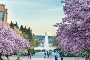 北京新学道临川学校国际部高考、日韩双轨班招生简章【国际班】