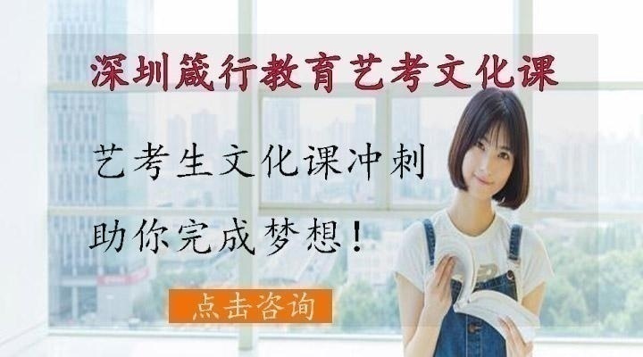 高中艺考文化课冲刺班