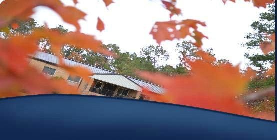 学校官方图片