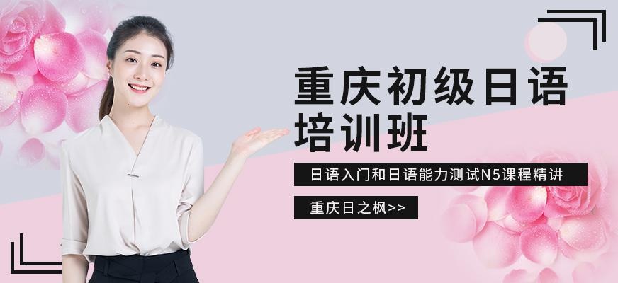 N1级培训