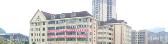 遂宁卓同国际学校高中部