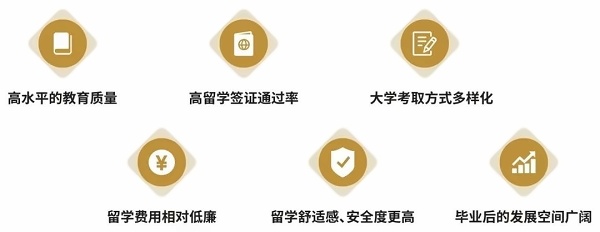 新虹桥中学中日高中国际课程项目优势.jpg