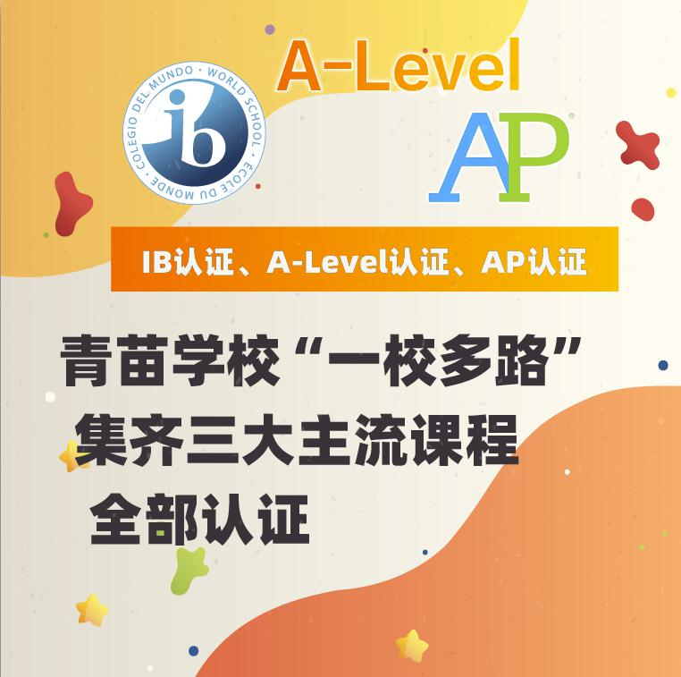 BIBS青苗 