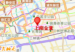 上南金童