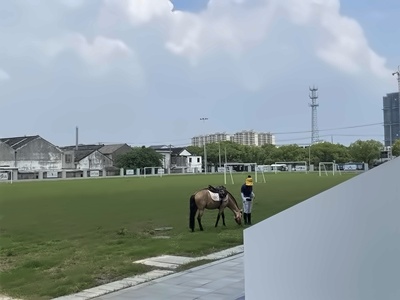 苏州市相城区美高学校校园环境