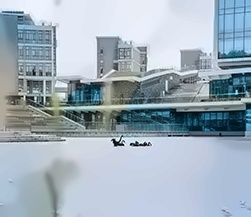 北师港浸大湖中美景