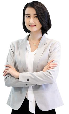 具备一定编程能力的人