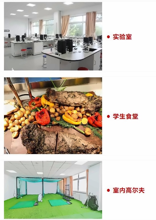 中育贝拉国际高中硬件设施