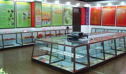 秦皇岛市中学国际班