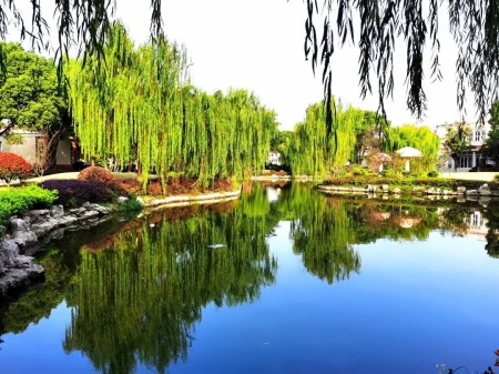美华学校.jpg