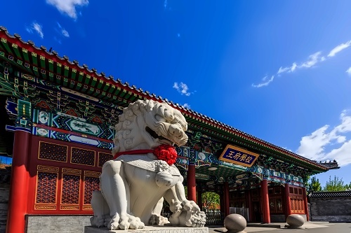 北京王府学校校园开放日