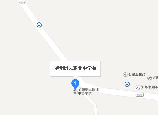 泸州树风职业高级中学地址在哪里