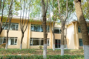 上海籽奥高中C栋教学楼