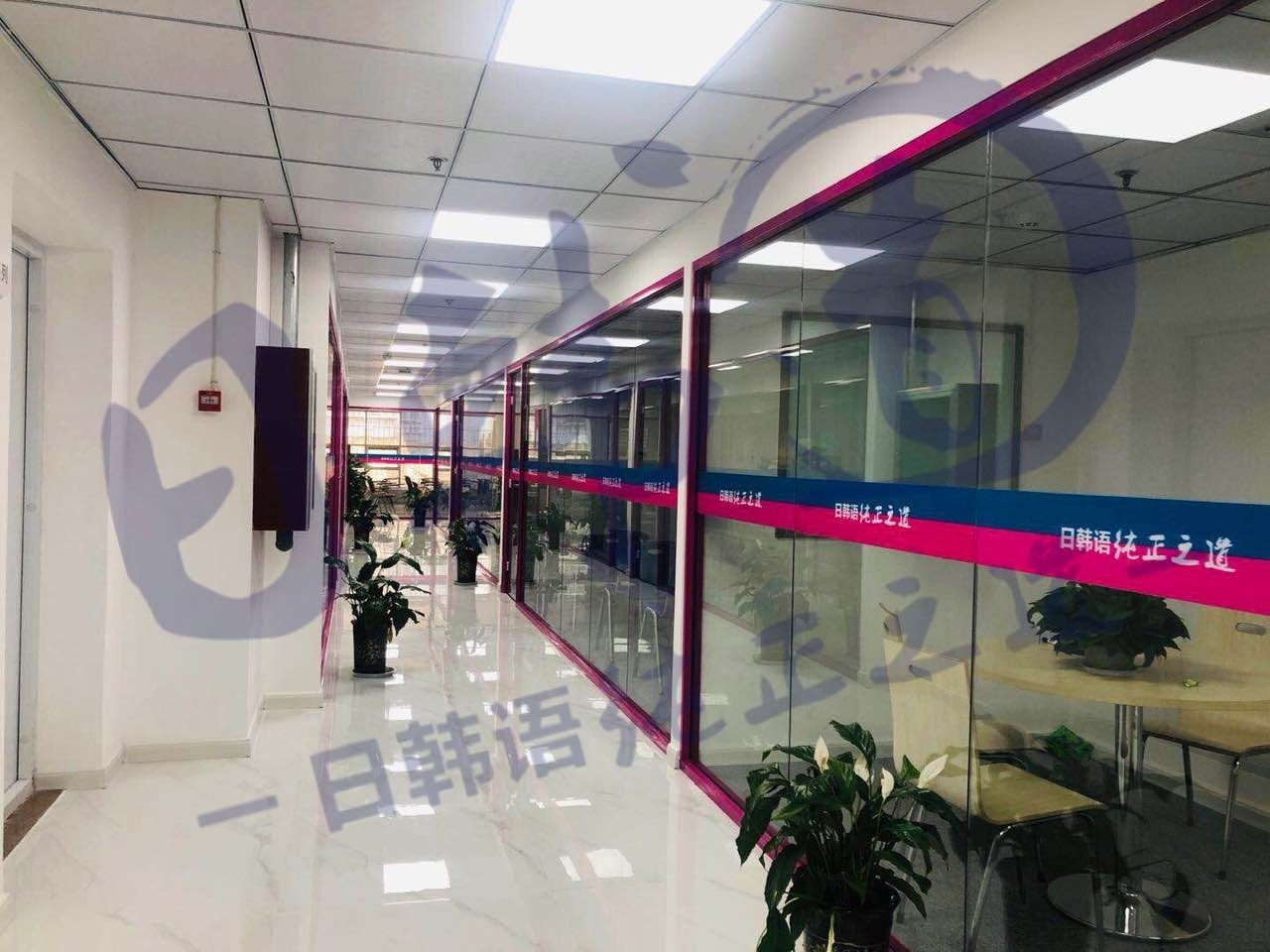 学校环境