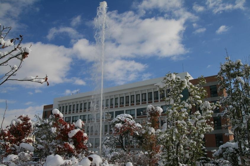 南部大学