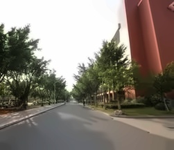 校园景色