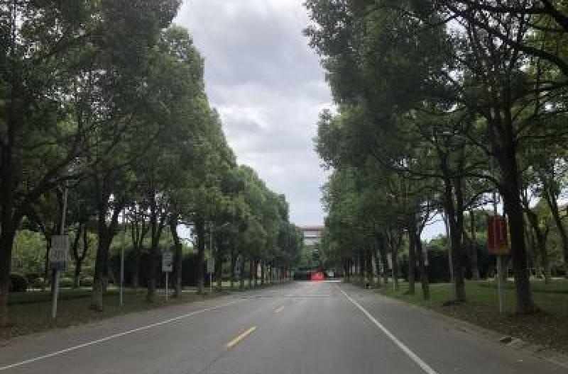 上海天华英澳美国际学校