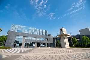 上海林国荣学校新加坡艺术课程招生简章
