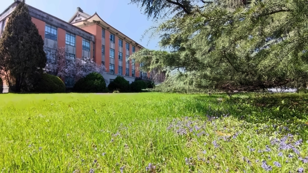 上海应用技术大学学士桥.jpg