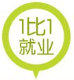 1比1就业