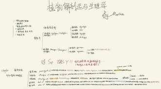 英澳美王同学笔记.jpg