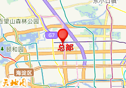 总部