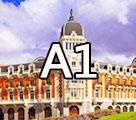 同理心西班牙语A1课程