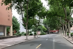 西北大学3+2留学招生简章
