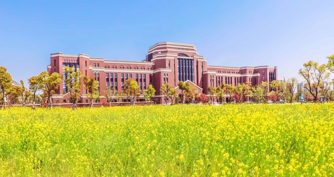 建桥国际高中